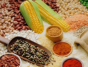 備孕須知 常吃三種助排卵食物，助力好孕降臨